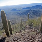 A Sense of the Sonoran Desert: The Soul of a Place