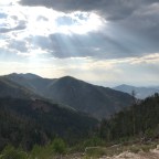 Leaving the Grid: Passage across a charred landscape