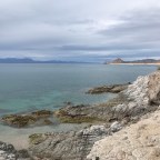 Vaquita’s fate a metaphor for the planet